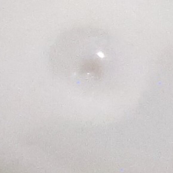 Wedgwood Solar Covered Vegetable Serving Bowl White Oval 8.5" Bone China - Picture 11 of 12